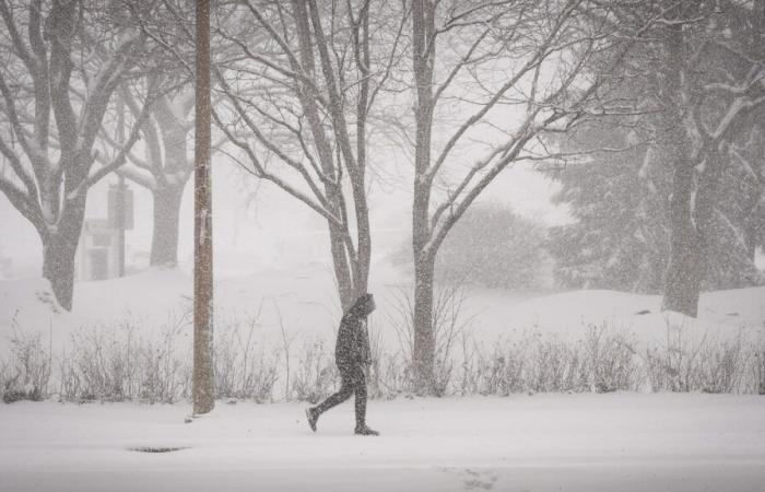 White carpet for Christmas: between 10 and 15 centimeters of snow in southern Quebec