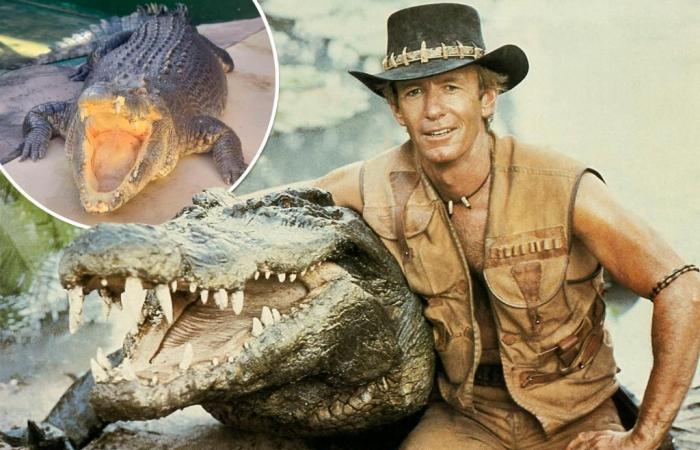 Burt the reptile from ‘Crocodile Dundee’ dead at 90