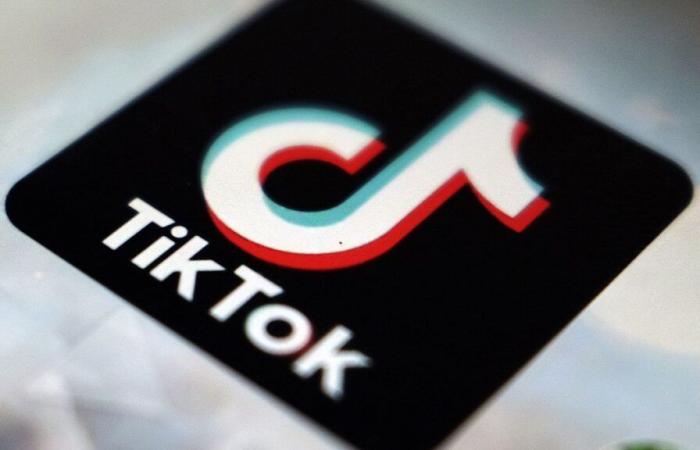 Albania: the government bans TikTok for a year, angering young users