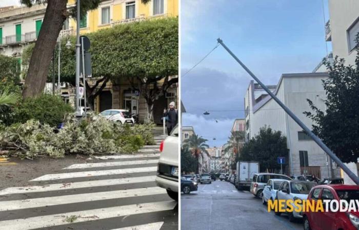 Strong wind and damage in Messina and the province, trees and poles fallen on the outskirts and in the centre