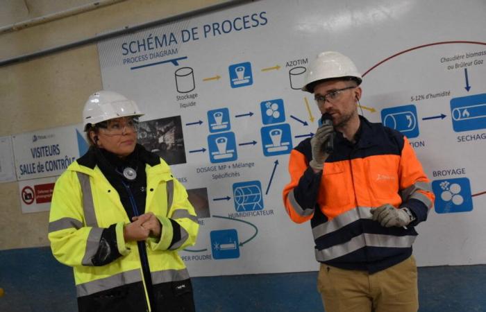 In Saint-Malo, Timac Agro is banking on biomass boilers to decarbonize its production