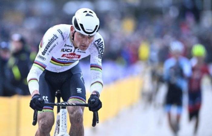 Unstoppable Van der Poel also tolerates no opposition in Mol's cyclocross