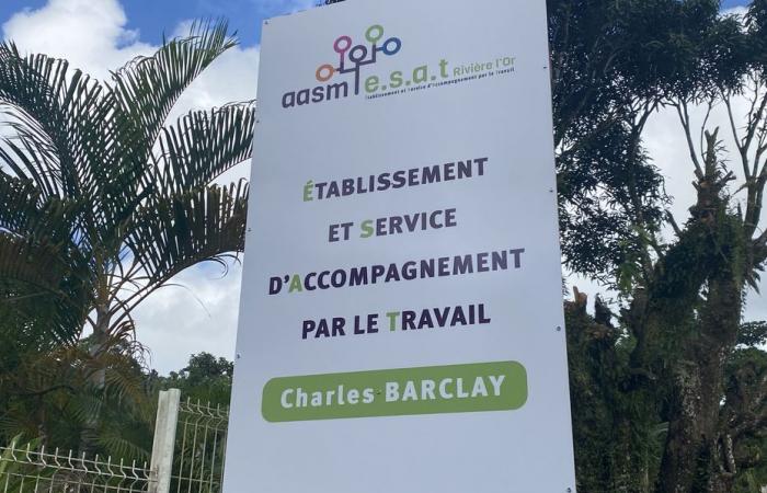 The Saint-Joseph Establishment and Work Support Service named in the name of Charles Barclay