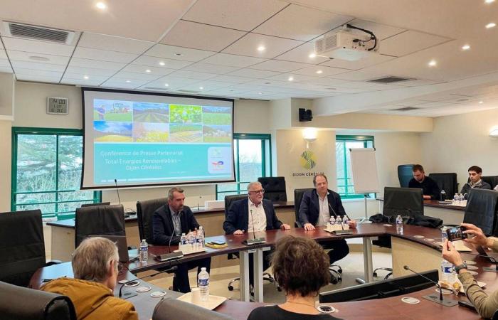 BURGUNDY-FRANCHE-COMTÉ: Dijon Céréales and Total Energies commit to developing agrivoltaism