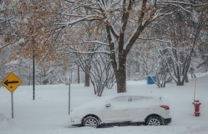 Significant snow accumulations expected for several regions of Quebec