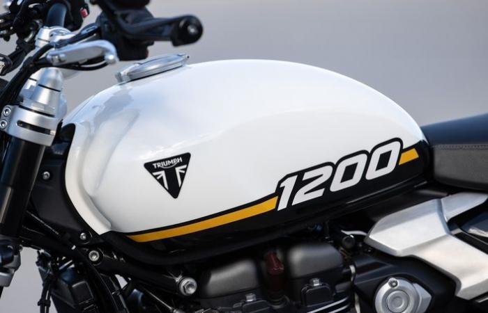 With the test of the new Triumph Speed ​​Twin 1200, we discover that classic sport is gaining ground