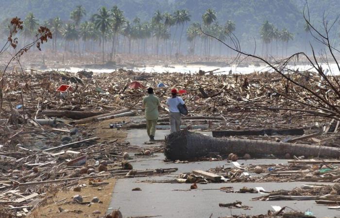 20 years ago, an unprecedented outpouring of generosity after the tsunami