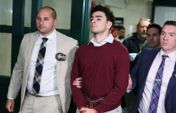 Alleged killer of New York health insurance boss pleads not guilty to 'terrorist' murder: News