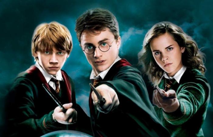 Harry Potter, the mistakes of the films that the TV series absolutely must remedy