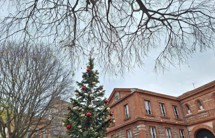 Weather report. What will the weather be like on Christmas Eve in Toulouse and Occitanie?