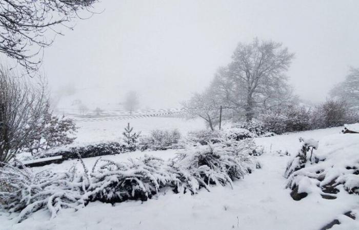 storm Enol covers these Rhône municipalities with snow