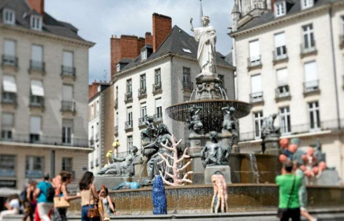 Toulouse, Nantes… These cities which attract more and more inhabitants to France