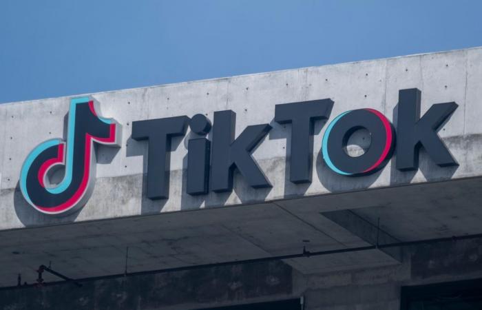 The future of TikTok is in Trump's hands