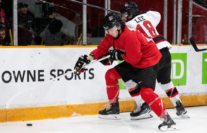 World Junior Hockey Championship | Ten drafted prospects to follow