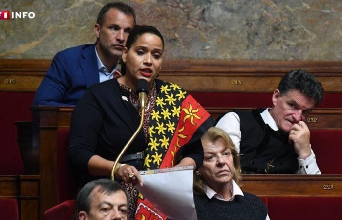 The new government announced on the day of national mourning? A member of parliament from Mayotte protests