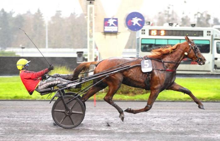 Prix ​​de Bourgogne America Races Q5 2024: Josh Power without pressure