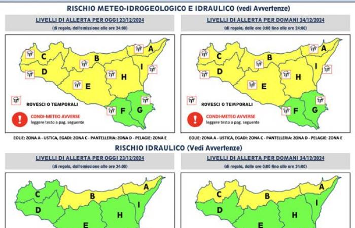 Strong wind and damage in Messina and the province, trees and poles fallen on the outskirts and in the centre