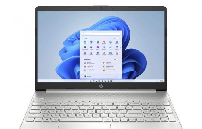 Promo €399 HP 15s-eq1010nf, inexpensive Silver 15″ Full HD thin and light laptop with fast SSD and USB-C and SSD under AMD Ryzen 3 and secure Windows 11