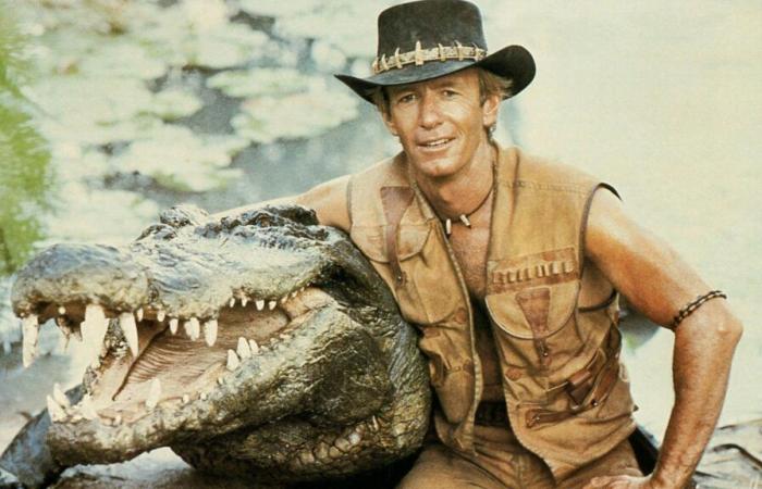 Crocodile from hit film Crocodile Dundee dies peacefully, zoo says | World News