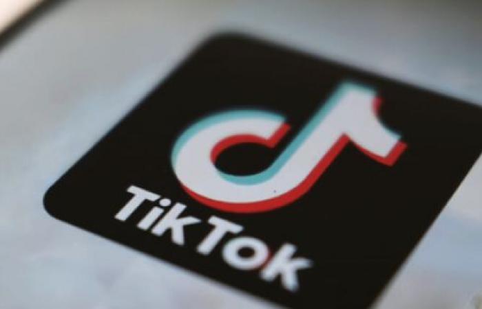 Albania blocks TikTok for a year