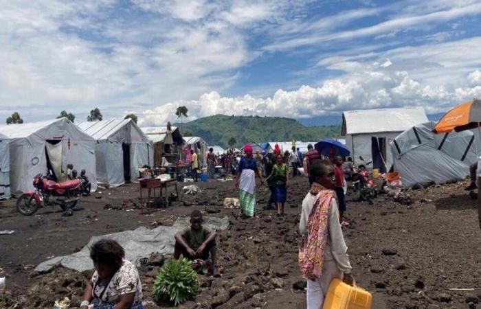 Humanitarian needs are urgent for water and sanitation in eastern DRC, according to Médecins Sans Frontières – VivAfrik