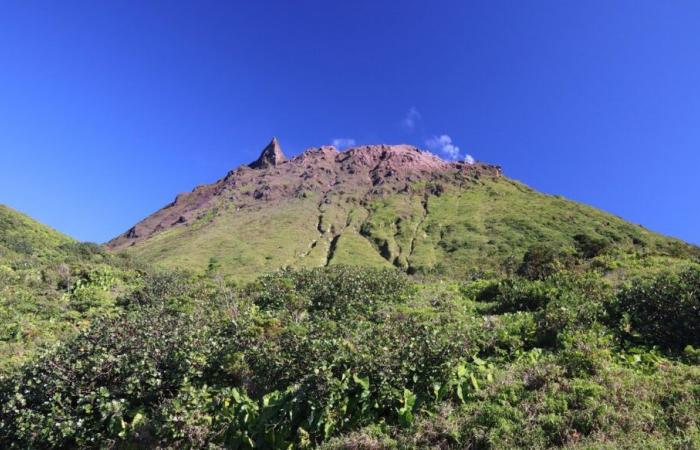 The bowels of the Soufrière volcano in Guadeloupe mapped in 3D