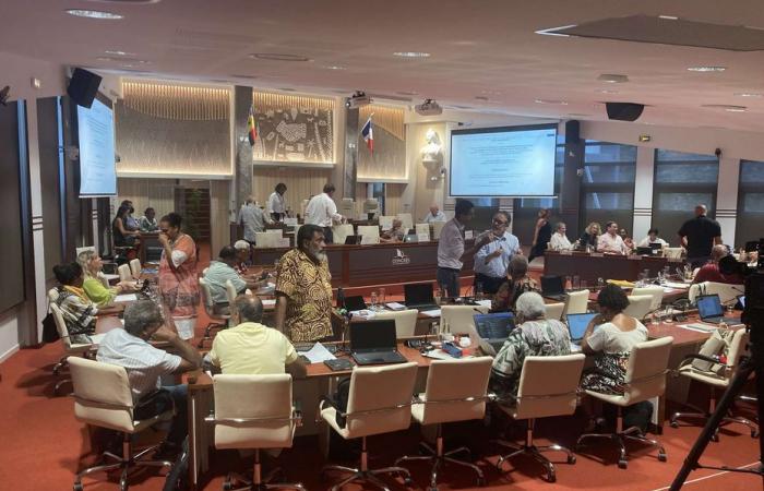 the Congress of New Caledonia votes in favor of an immediate waiting day during sick leave