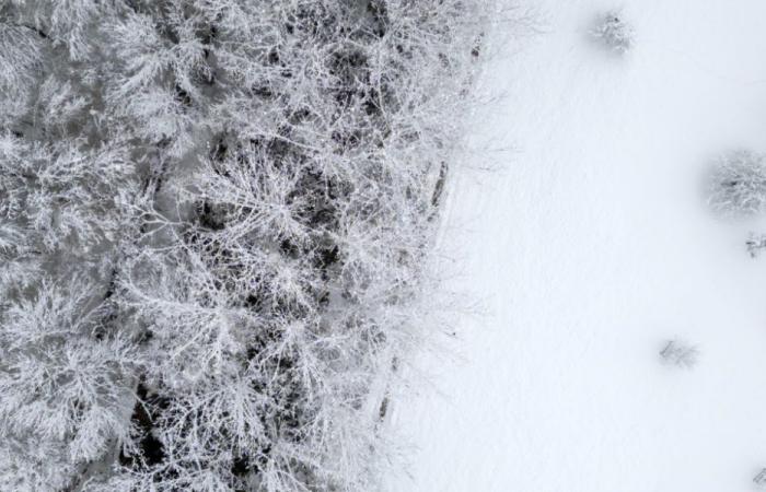 Snow disrupts road and rail traffic in Switzerland