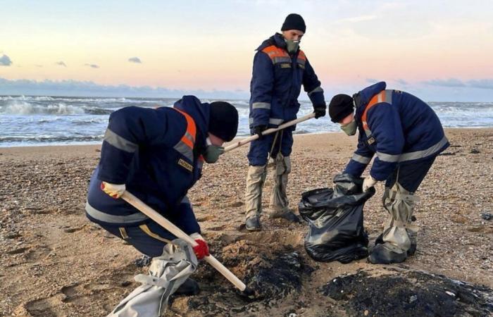 Kerch Strait: soil polluted by an oil spill