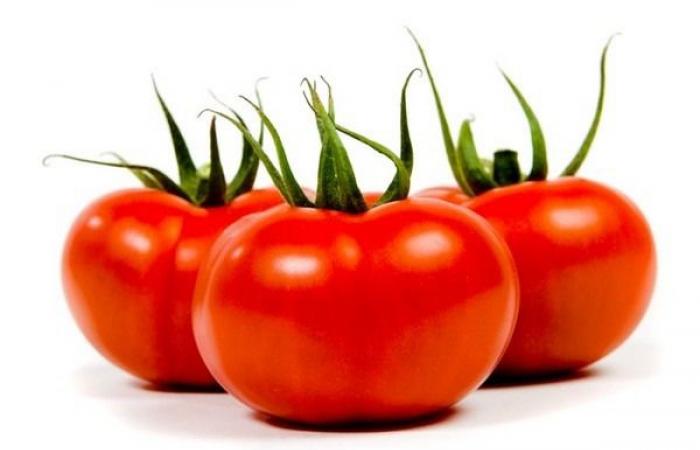 New greenhouses for Stoffels Tomaten (Belgium)