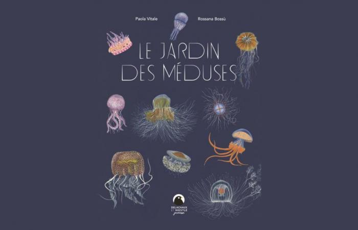 The jellyfish garden by Paola Vitale and Rossana Bossù ⋆ Animal Knowledge