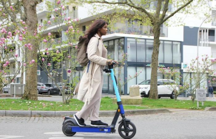 What is happening with electric scooters in the Netherlands?