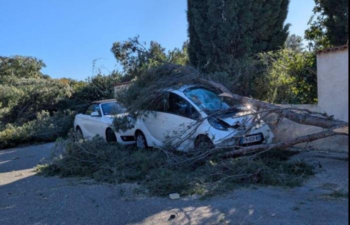 falling trees, and a thousand homes without electricity on the morning of December 24 in the Var