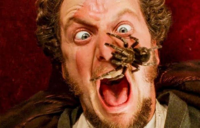 Home Alone Star Reveals Scary Encounter With Real Spider on Set