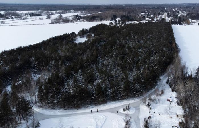 Climate change | The days suitable for outdoor skating are melting away