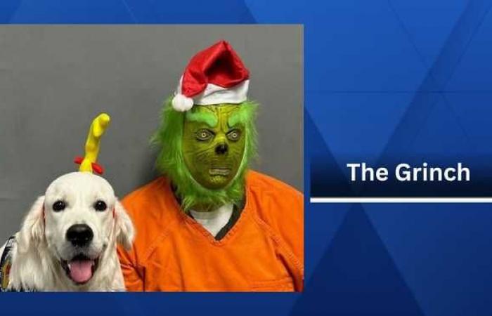 Iowa county jail books the Grinch for stealing Christmas presents