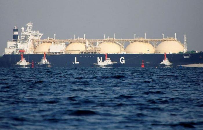 Egypt to import around 160 cargoes of liquefied gas by 2025