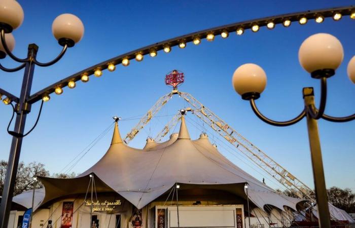 The Arlette Gruss circus tent is set up in Bordeaux for a month