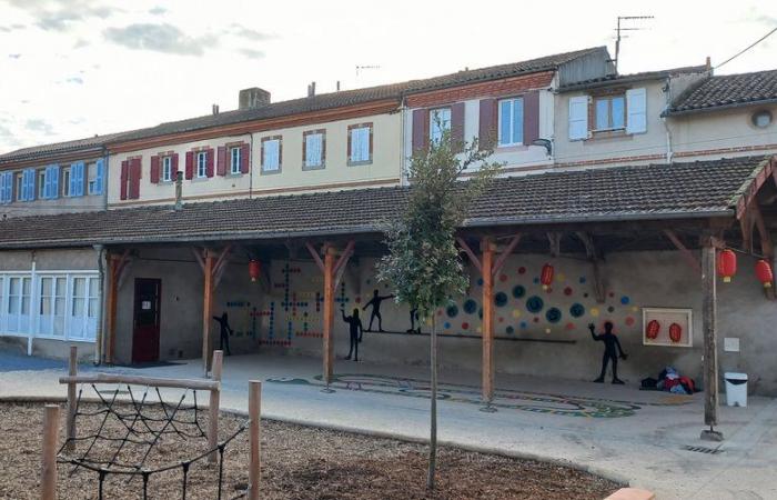 “Transform buildings into cacti”: this Albi school will be equipped with an innovative system to store rainwater