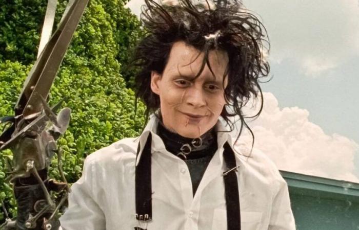 The sequel to Edward Scissorhands? What Tim Burton says