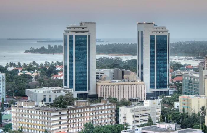 Tanzania: Central bank removes card transaction fees