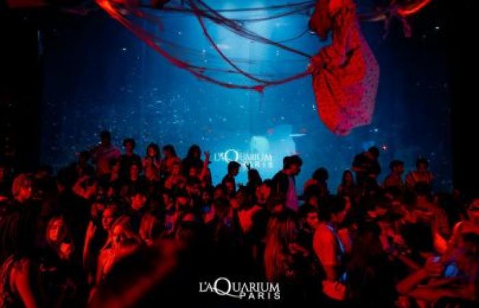 Aquarium Club: a magical New Year's Eve in the heart of Paris