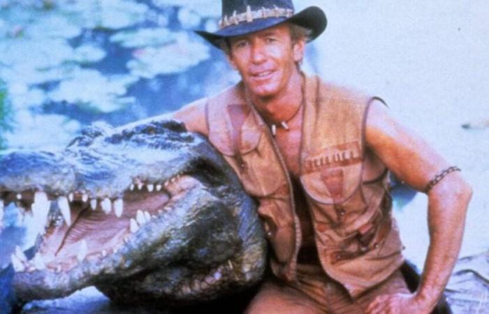 Burt, the crocodile protagonist of the film “Mr.,” has died. Crocodile Dundee”: “It's the end of an incredible era”