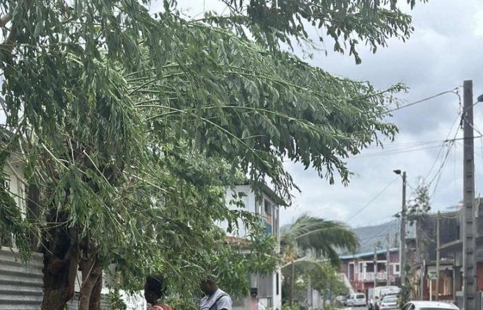 “It took a week for my sister to give me news about my father”: from Foix to Mayotte, the concern of the Mahorais of Ariège