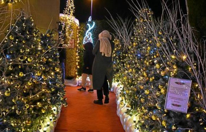 Near Saint-Malo, the illuminations of this house have been attracting people for 10 years