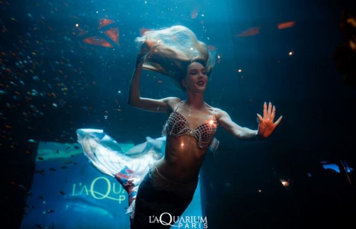 Aquarium Club: a magical New Year's Eve in the heart of Paris