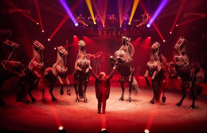 The Arlette Gruss circus tent is set up in Bordeaux for a month