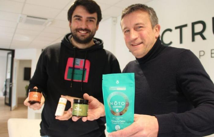 From CBD to medicinal mushrooms, the success story of a family from Quimper