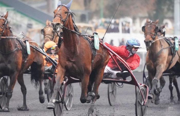 PMU – Arrival of the quinté on Tuesday, December 24 at Paris-Vincennes: Isofou du Chêne brings down Cobra Killer Gar