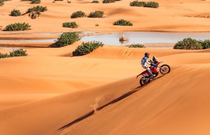 SHAD ready for Dakar and Africa Eco Race 2025 – MotoriNoLimits